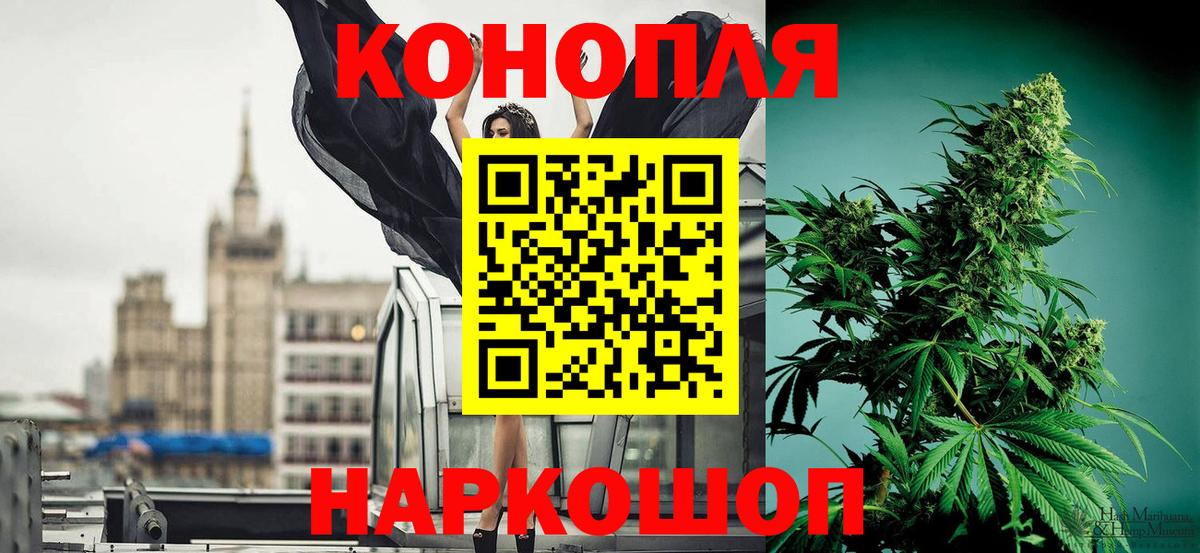 Шишки марихуана гибрид  Конопля White Widow  Вход с VPN  Гатчина  Бошки марихуана ГИДРОПОН 